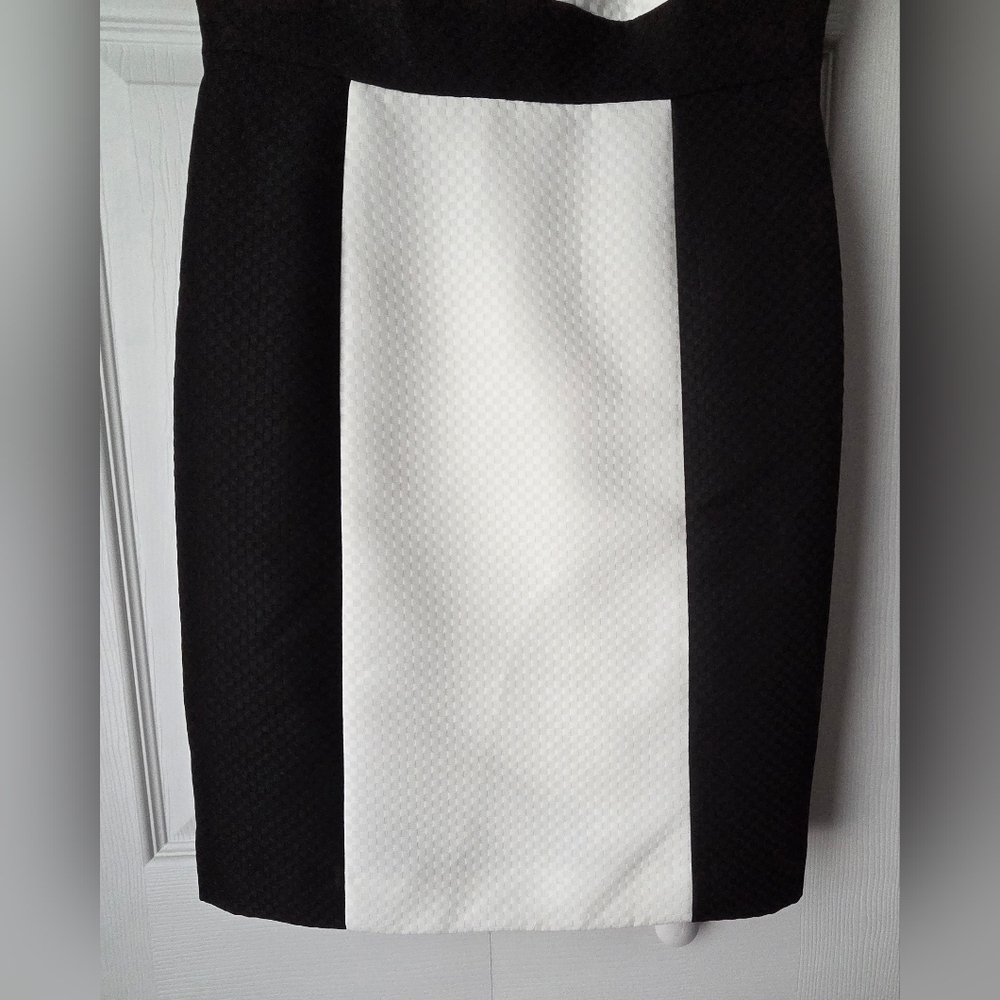 Tahari-Levine Studio Black and White Sleeveless Colorblock Mini Dress Size 10 - Picture 5 of 13